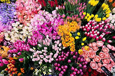 黑曜石新作《Pentiment》发售预告 首发加入X＆PGP